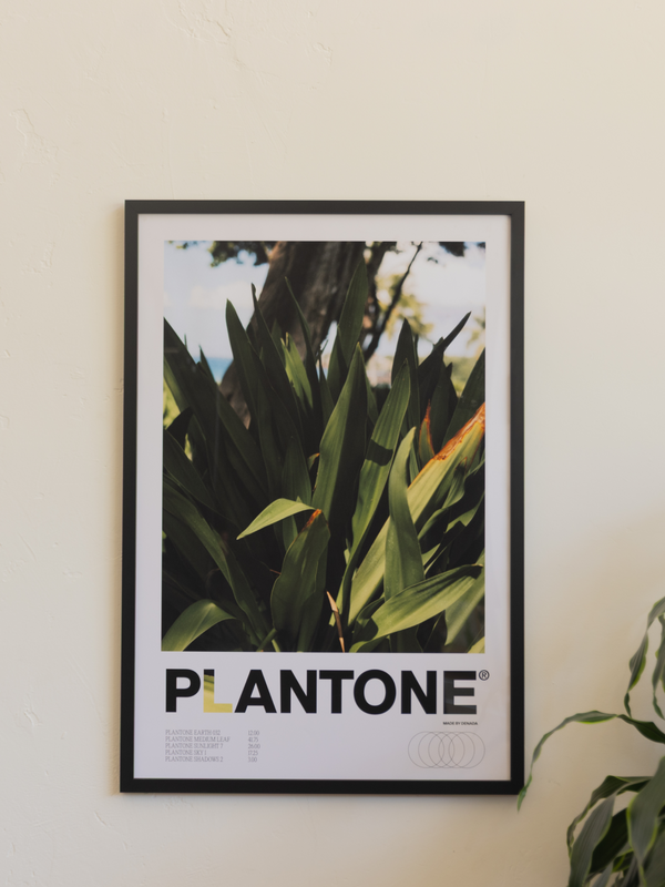 Plantone Hawaii Species