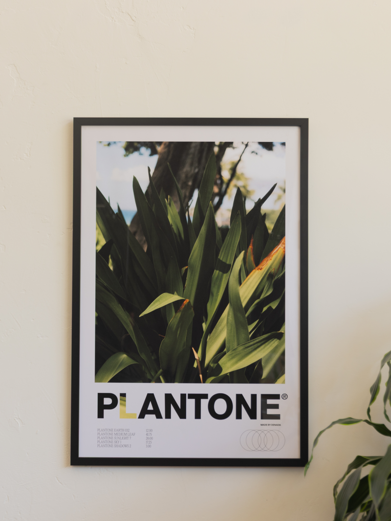 Plantone Hawaii Species