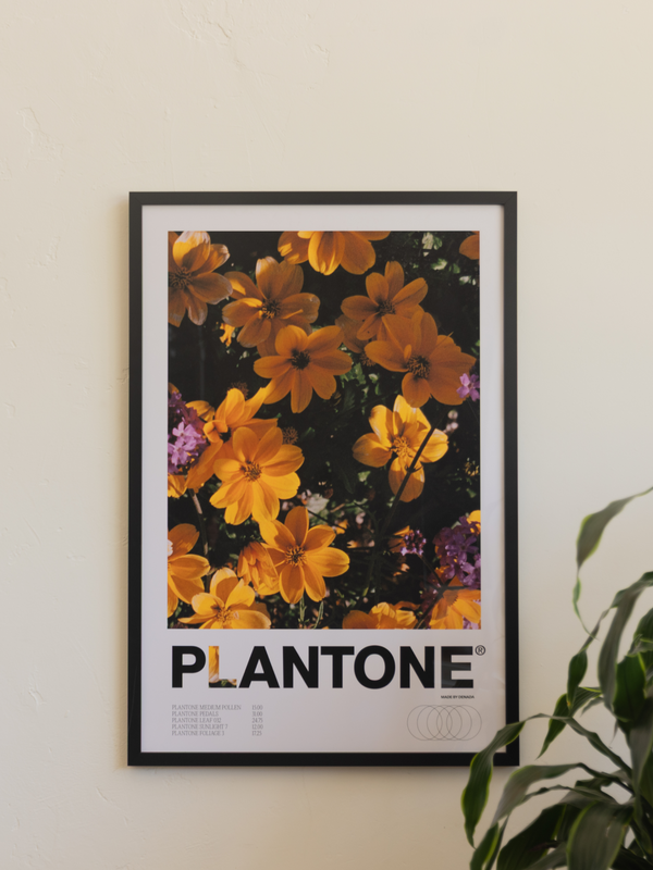 Plantone Untitled Flora