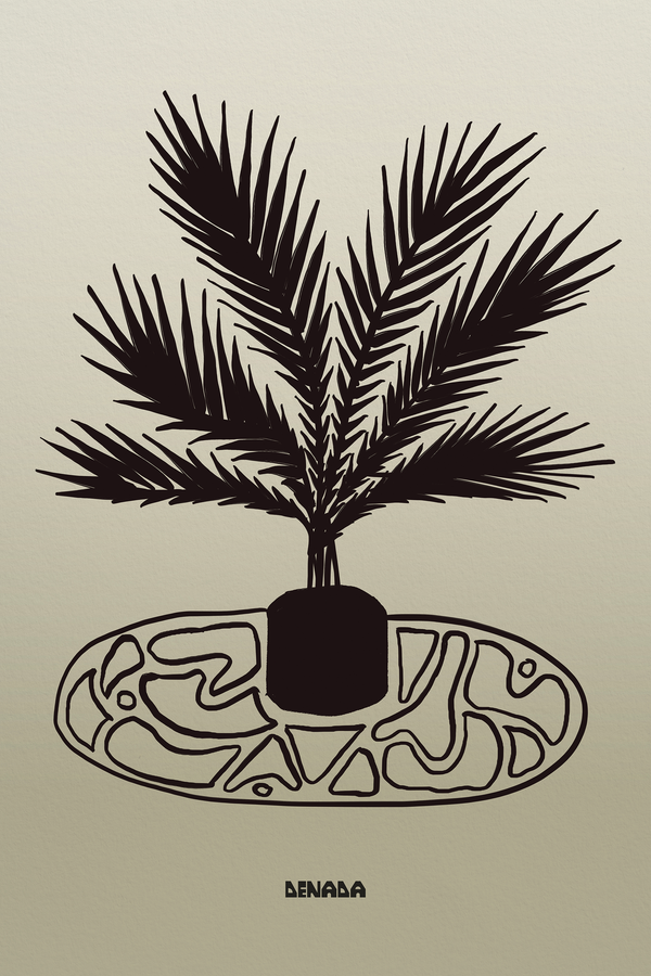 Plant And Rug