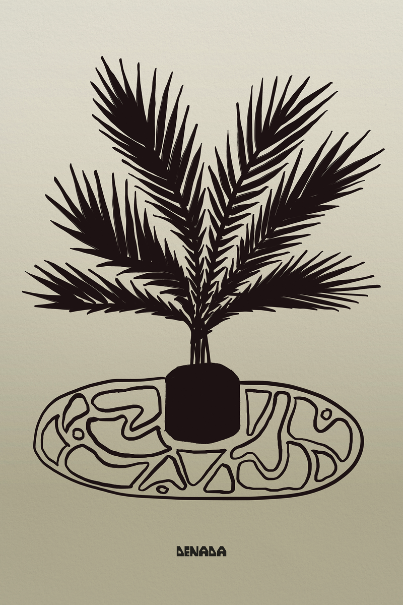 Plant And Rug
