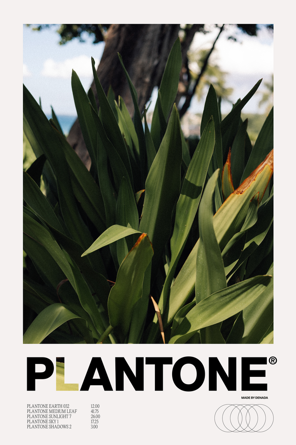 Plantone Hawaii Species
