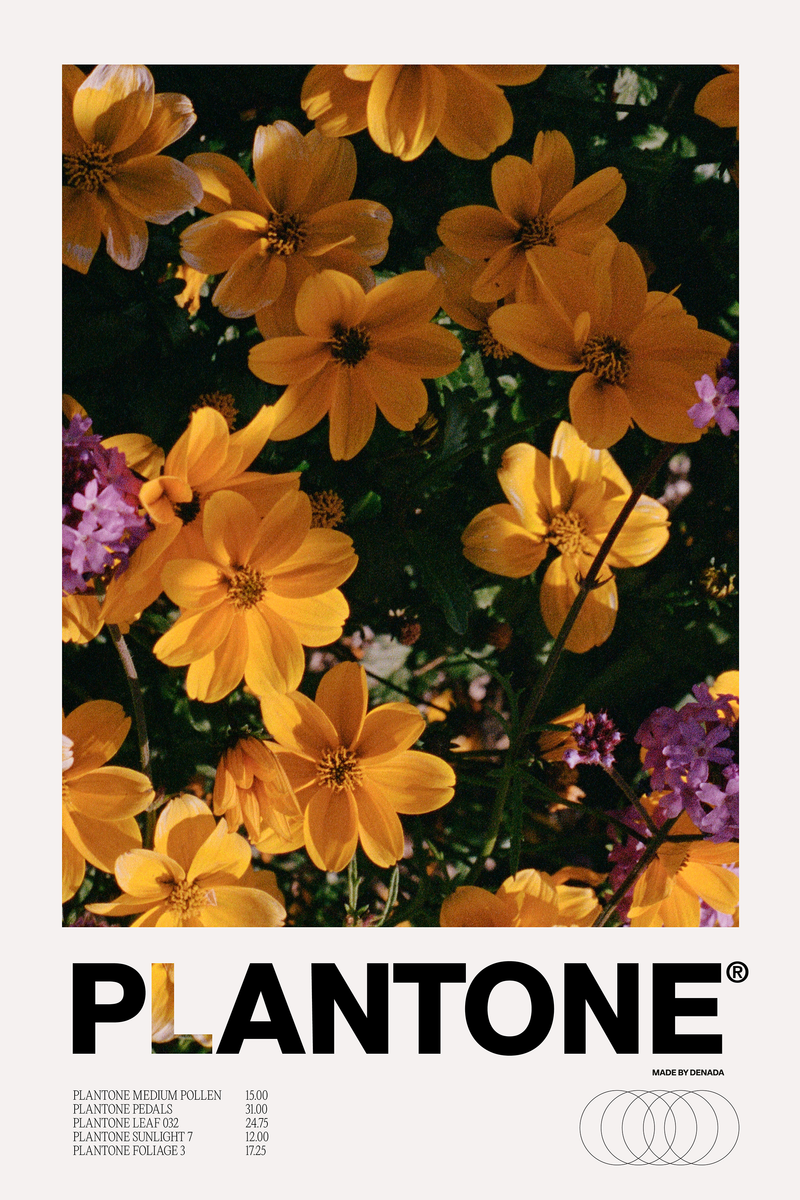Plantone Untitled Flora